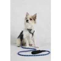 https://www.burton.co.uk/product/weird-fish-wilf-reflective-rope-dog-lead_p-789e2939-f905-4b9b-b02f-b5e7450e3bf7£colour=Light%20Blue&size=One%20Size