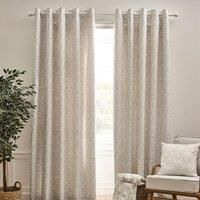 Catherine Lansfield Brooke Floral 46x54 Inch Lined Eyelet Curtains Two Panels Natural