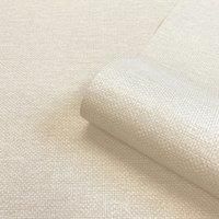 Belgravia Dcor Palm Weave Textured Cream Wallpaper A4 Size Sample