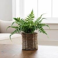 Artificial Fern Green in Rattan Pot 30cm Green