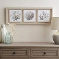 Coastal Corals Boxed Canvas Brown