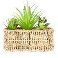Artificial Succulent Garden Multi in Woven Pot Green and Brown