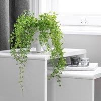 Artificial Trailing Plant in Footed Pot Green