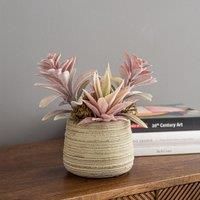 Churchgate Artificial Flocked Succulent Garden Grey