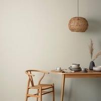 Dunelm Willow Matt Emulsion Paint Willow Paint