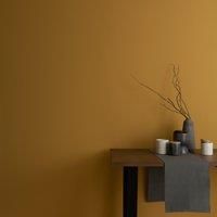 Dunelm Old Gold Eggshell Emulsion Paint