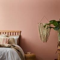 Dunelm Blush Eggshell Emulsion Paint Blush