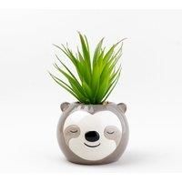 Artificial Succulent in Sloth Plant Pot
