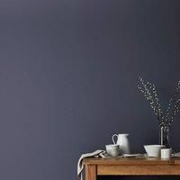 Dunelm Eggshell Emulsion Paint