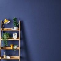 Dunelm Eggshell Emulsion Paint