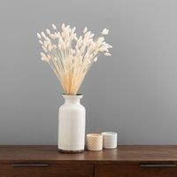 Dried Phalaris Bouquet