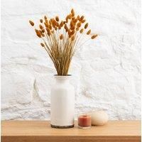 Dried Phalaris Bouquet