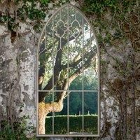 Buttercup Garden Stone Effect Mirror 160x85cm Stone (Natural)