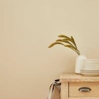 Churchgate Purity Almond Matt Emulsion Paint
