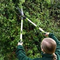 Hedge Shears & Loppers