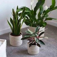 Garden Gear Chia Seagrass Planter Basket Indoor Planter with Interior Plastic Coating Hiding Plastic Pots 3 Pack (Grey Sand Seagrass + Jute Planter)