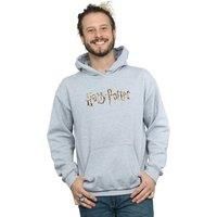 Harry Potter Men's Full Colour Logo Hoodie in Grey | Size: 2XL