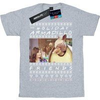 Friends Boys Fair Isle Holiday Armadillo T-Shirt