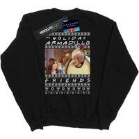 Friends Men's Fair Isle Holiday Armadillo Sweatshirt