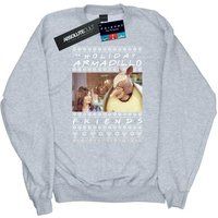 Friends Men's Fair Isle Holiday Armadillo Sweatshirt