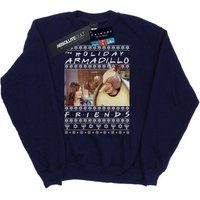 Friends Men's Fair Isle Holiday Armadillo Sweatshirt