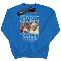 Friends Men's Fair Isle Holiday Armadillo Sweatshirt
