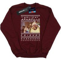 Friends Men's Fair Isle Holiday Armadillo Sweatshirt