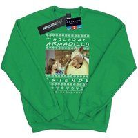 Friends Men's Fair Isle Holiday Armadillo Sweatshirt