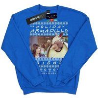 Friends Girls Fair Isle Holiday Armadillo Sweatshirt