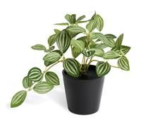 Habitat Small Artificial Trailing Plant - Green