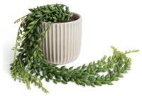 Habitat Artificial Trailing Plant in Ribbed Ceramic Pot
