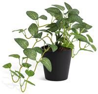 Habitat Medium Artificial Topiary Plant - Natural
