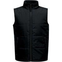 Regatta Professional Mens Quilted Insulated Body Warmer / N/A N/A RG3564