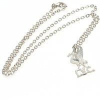 Silver Plated Liverbird Pendant And Chain