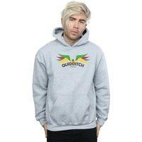 Harry Potter Men's Snitch Wings Pastels Hoodie in Grey | Size: 5XL
