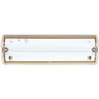Lexco LXEL06-BH110V Indoor & Outdoor Maintained or Non-Maintained Emergency Rectangular LED Bulkhead Yellow 3.5W 150lm (711RE)