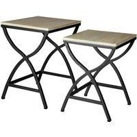 Alesja Set of 2 Metal and Wood Nested Tables