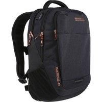 Regatta Oakridge 20L Backpack-Black / Rose Gold