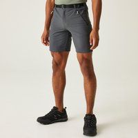 Regatta Mens Water Repellent Xert Active Stretch Shorts III Seal Grey