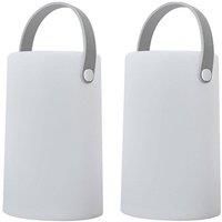Daomu Pair of White Outdoor Decorative Light
