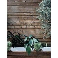Pack of 2 IP44 Black Outdoor Battery Operated Warm White Star Lights