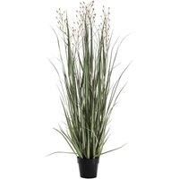 Crossland Grove Potted Grass W 7 Heads Green Russet 1300Mm, Green