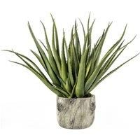 Crossland Grove Aloe W/Bark Effect Pot 350X350X530Mm