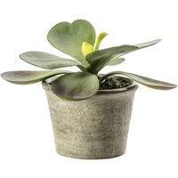 Kalanchoe Pale Green Potted Faux Plant