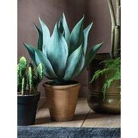 Crossland Grove Aloe Wide Leaf 560X560X560Mm