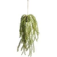 Crossland Grove Hanging Cactus Horsetail 200X200X580Mm