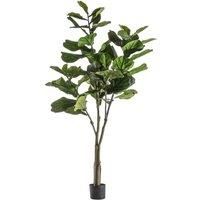 Crossland Grove Fiddle Tree W/39 Leaves 580X580X1200Mm