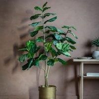 Crossland Grove Fiddle Tree W/65 Leaves 180X810X1800Mm