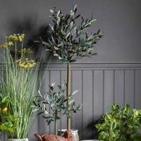 Crossland Grove Olive Tree Medium 300X300X1210Mm