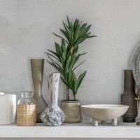 Crossland Grove Potted Yucca Green H650Mm